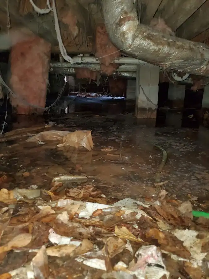 Crawl space flood assessment for Commercial Water Damage Restoration in Goose Creek